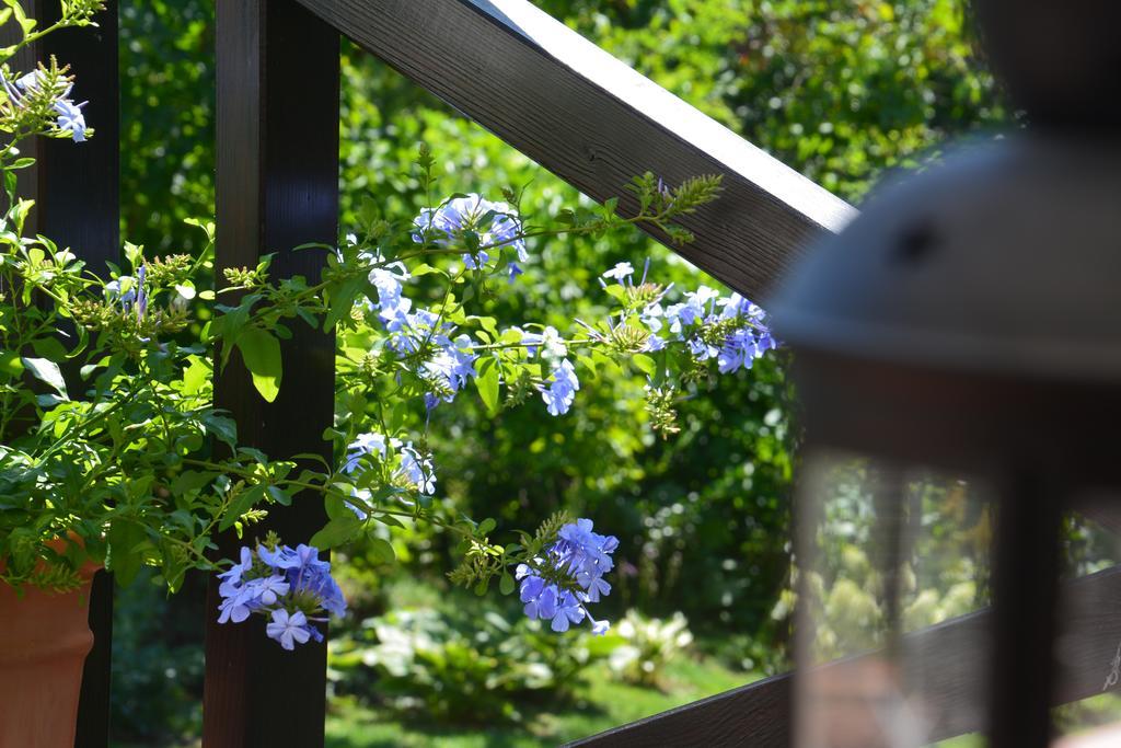 Bolechowice Lesna 6 - House With A Garden 빌라 외부 사진